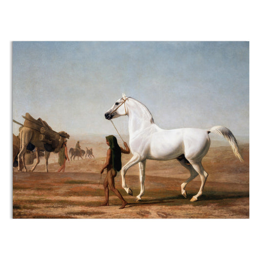 Premium Poster of Beautiful White Horse Walking Through Desert Posters