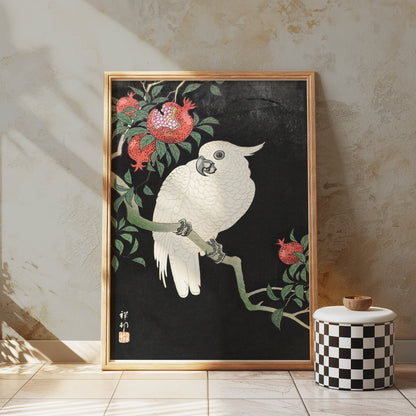Premium Poster of Beautiful White Parrot and Pomegranate Art Posters