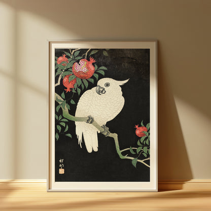 Premium Poster of Beautiful White Parrot and Pomegranate Art Posters
