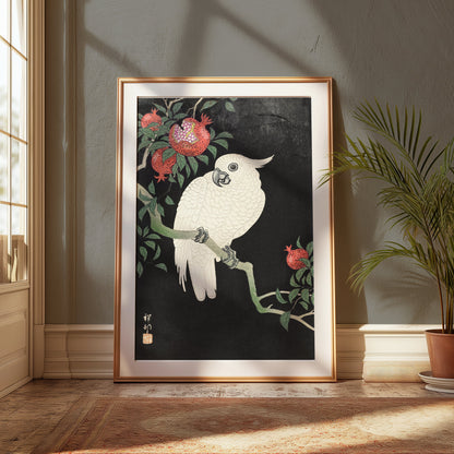 Premium Poster of Beautiful White Parrot and Pomegranate Art Posters