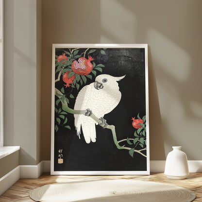 Premium Poster of Beautiful White Parrot and Pomegranate Art Posters