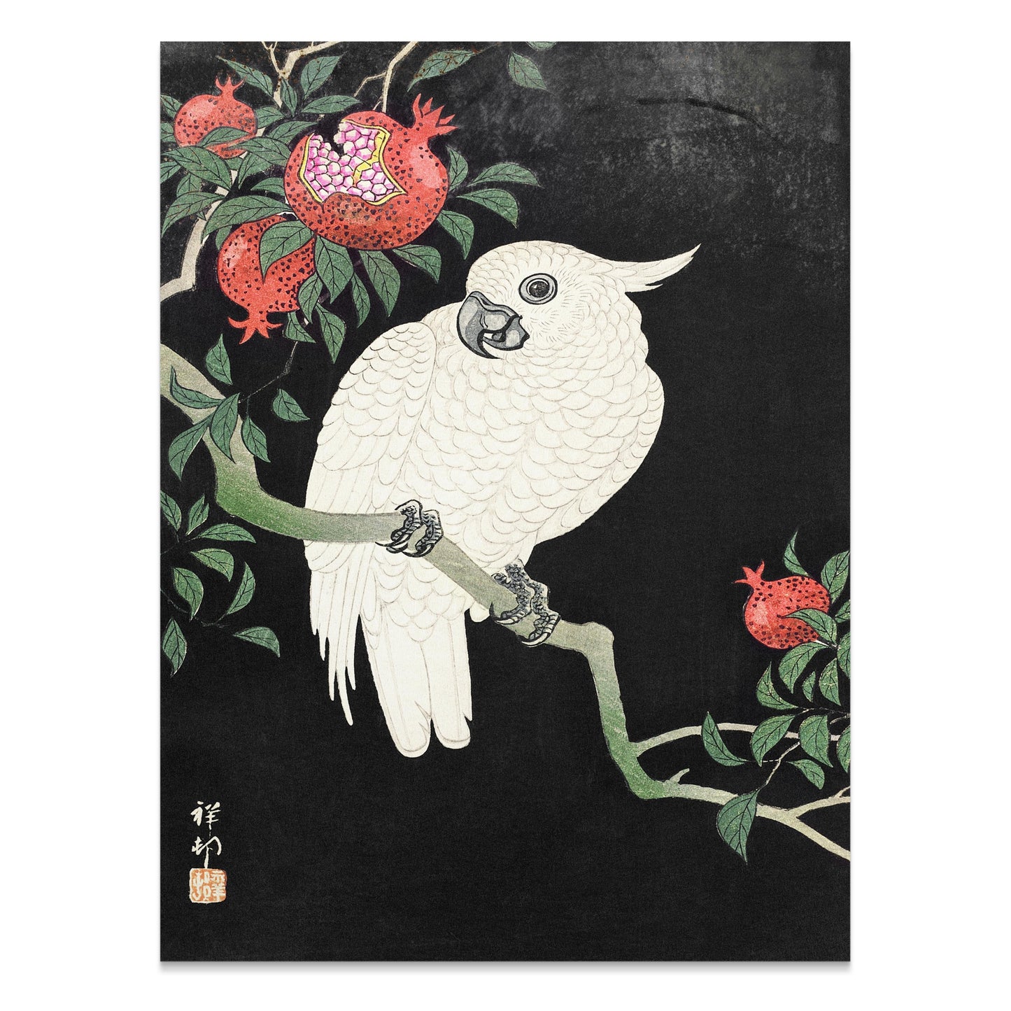 Premium Poster of Beautiful White Parrot and Pomegranate Art Posters