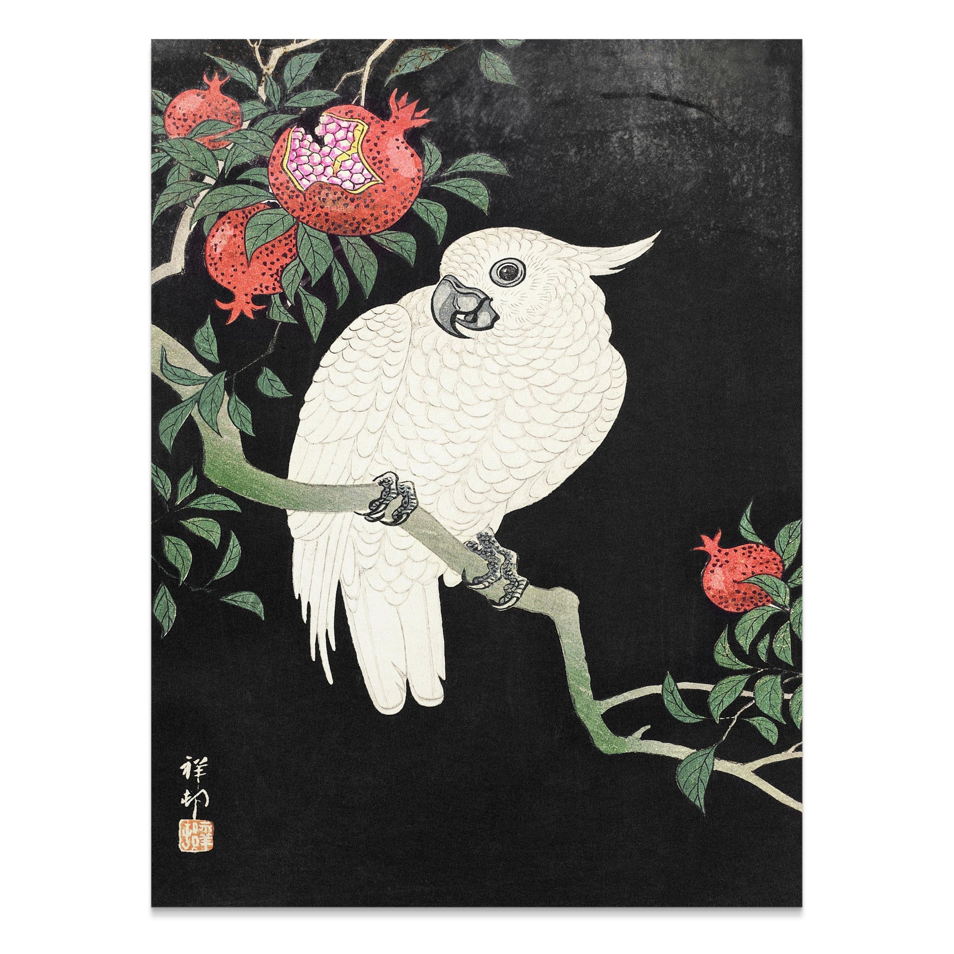 Premium Poster of Beautiful White Parrot and Pomegranate Art Posters