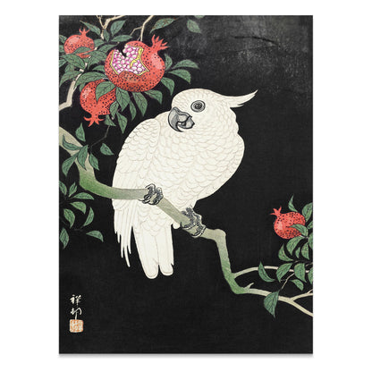 Premium Poster of Beautiful White Parrot and Pomegranate Art Posters