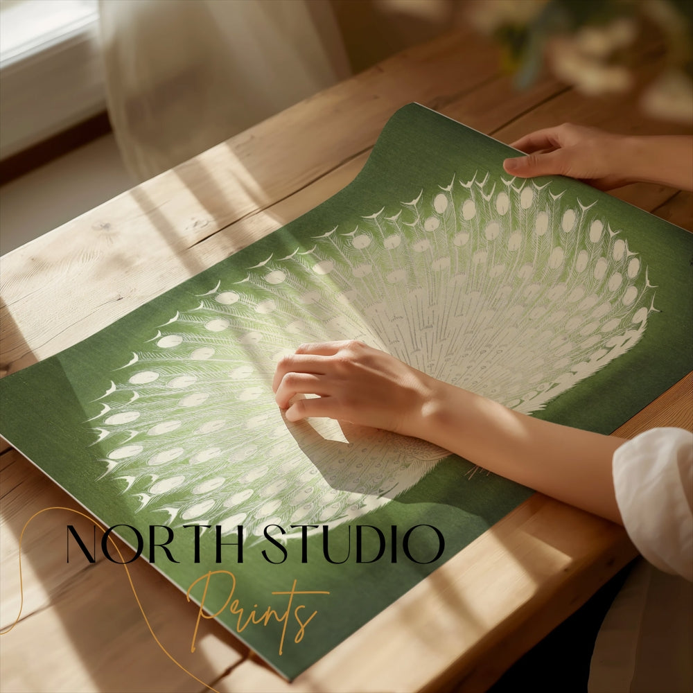 Premium Poster of Beautiful White Peacock Green Background Posters