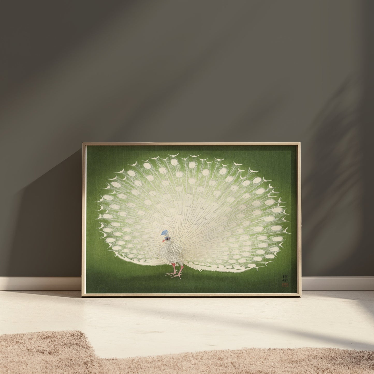 Premium Poster of Beautiful White Peacock Green Background Posters
