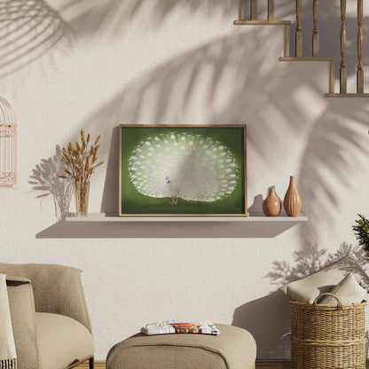 Premium Poster of Beautiful White Peacock Green Background Posters