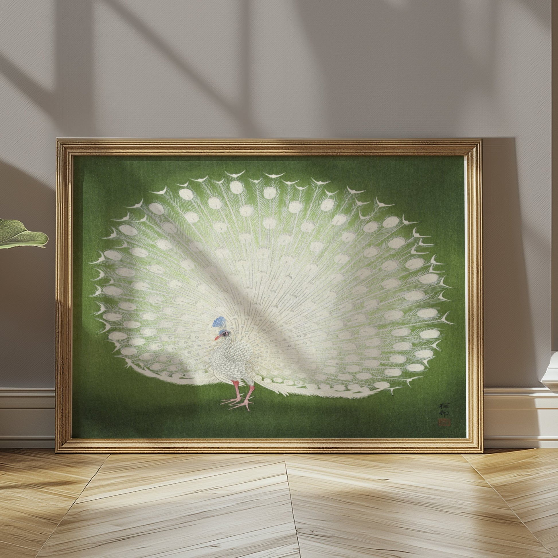 Premium Poster of Beautiful White Peacock Green Background Posters