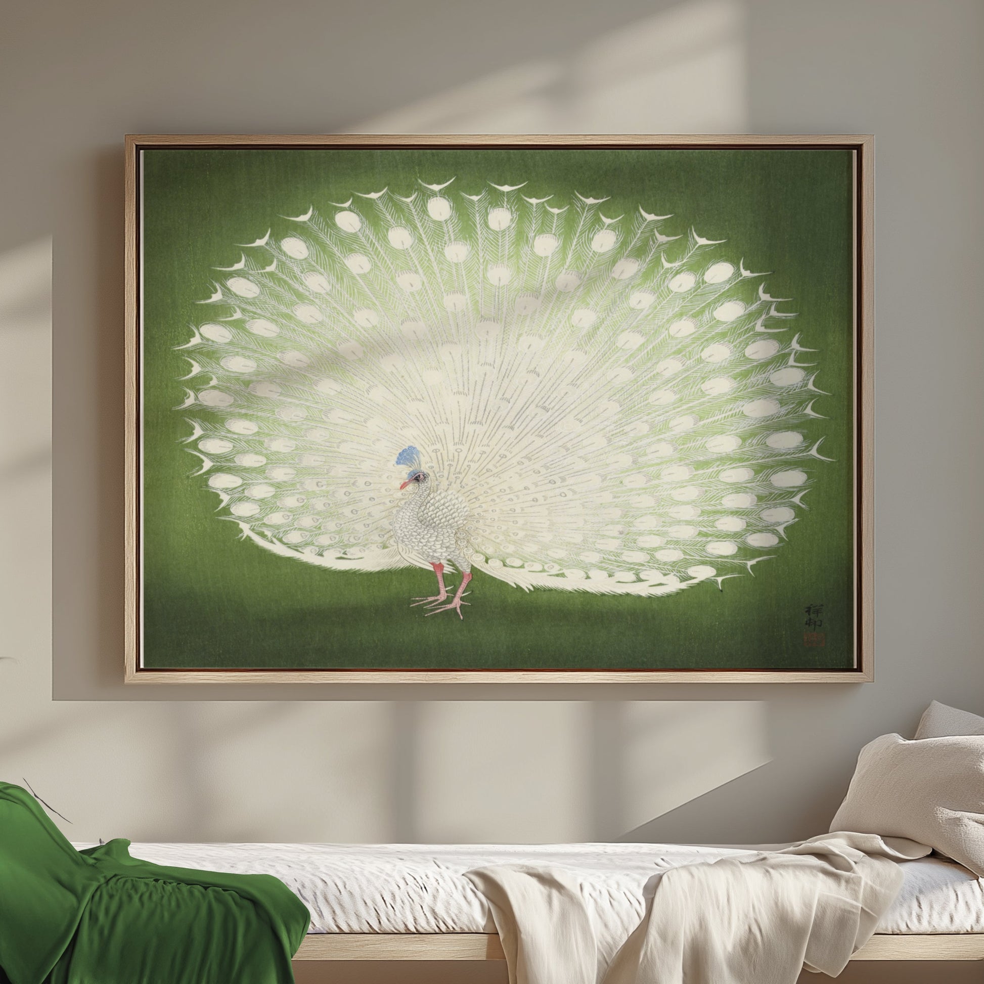 Premium Poster of Beautiful White Peacock Green Background Posters