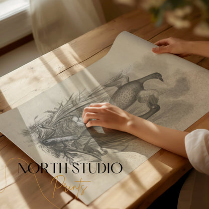 Premium Poster of Beautiful Wildlife Art Print of Ducks in Nest Posters