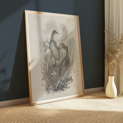 Premium Poster of Beautiful Wildlife Art Print of Ducks in Nest Posters