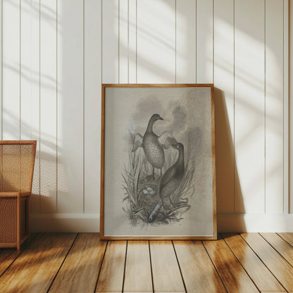 Premium Poster of Beautiful Wildlife Art Print of Ducks in Nest Posters