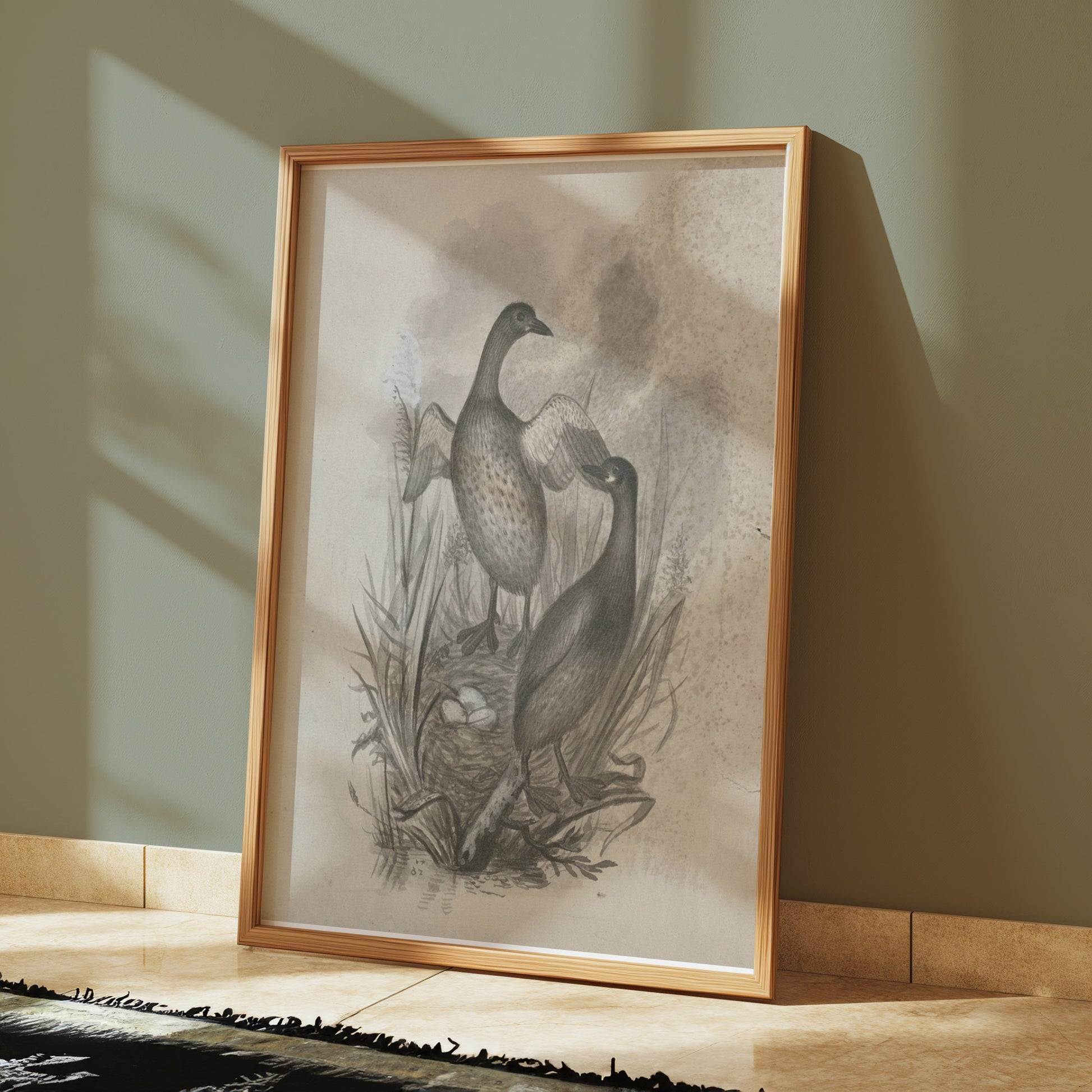 Premium Poster of Beautiful Wildlife Art Print of Ducks in Nest Posters