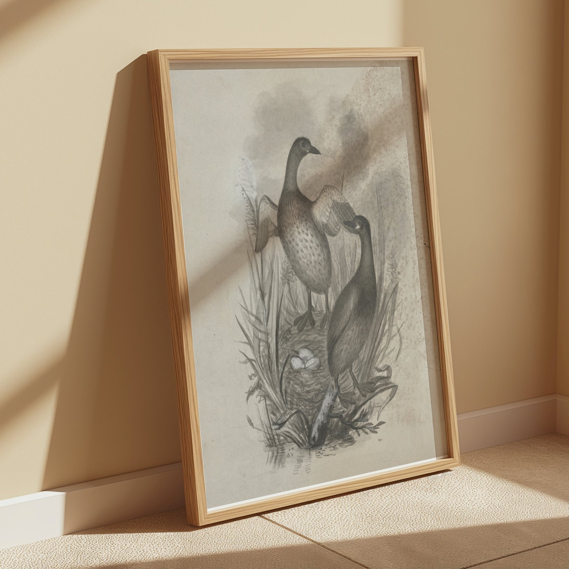 Premium Poster of Beautiful Wildlife Art Print of Ducks in Nest Posters