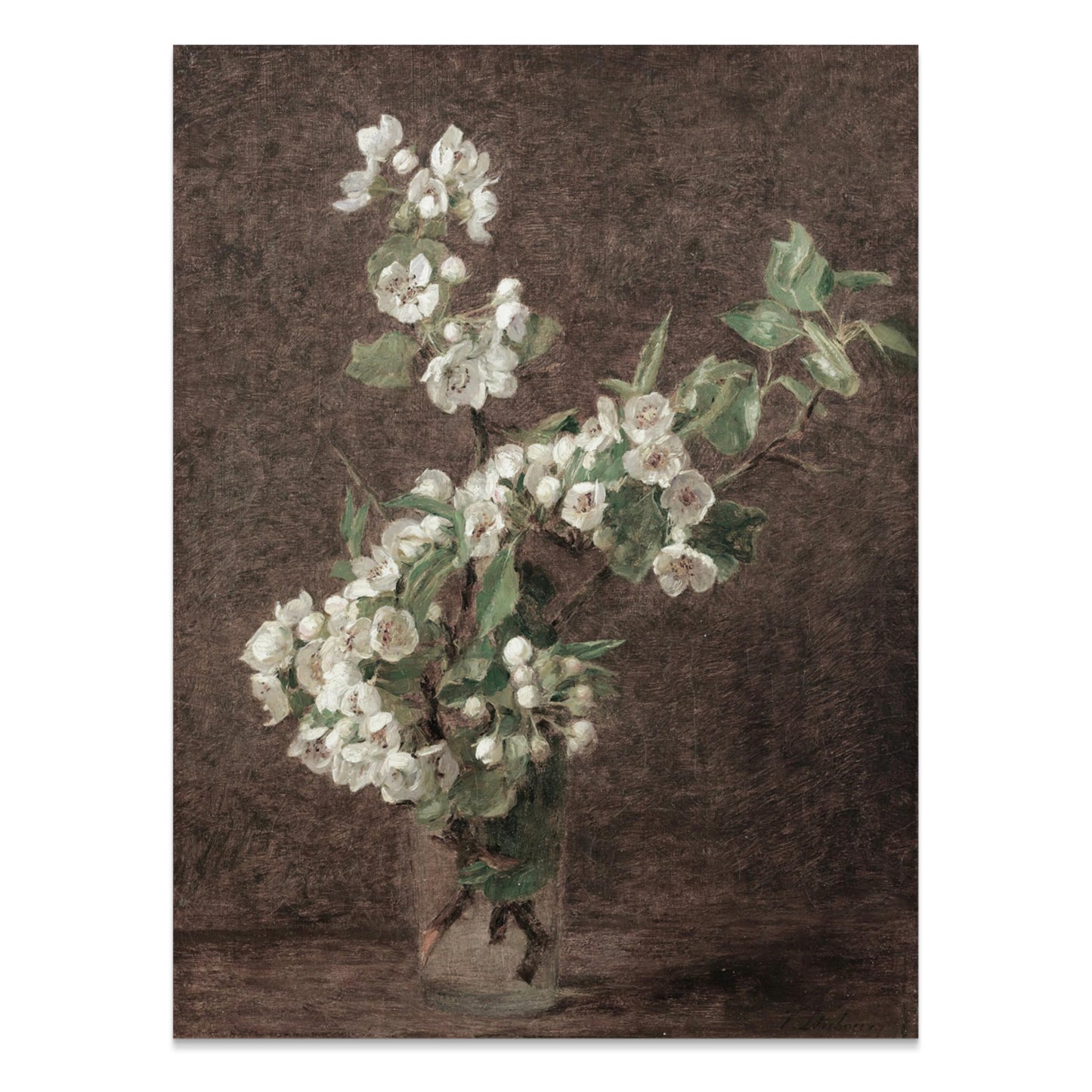 Premium Poster of Beautifully Detailed Botanical Art Flower Posters