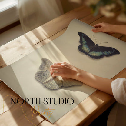Premium Poster of Beautifully Illustrated Butterfly Art Prints Posters