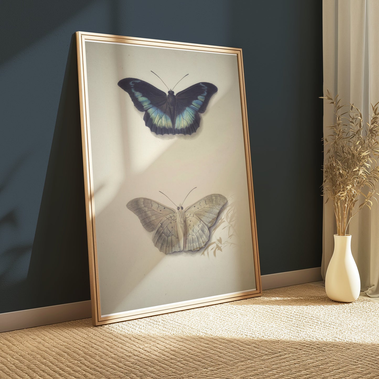 Premium Poster of Beautifully Illustrated Butterfly Art Prints Posters