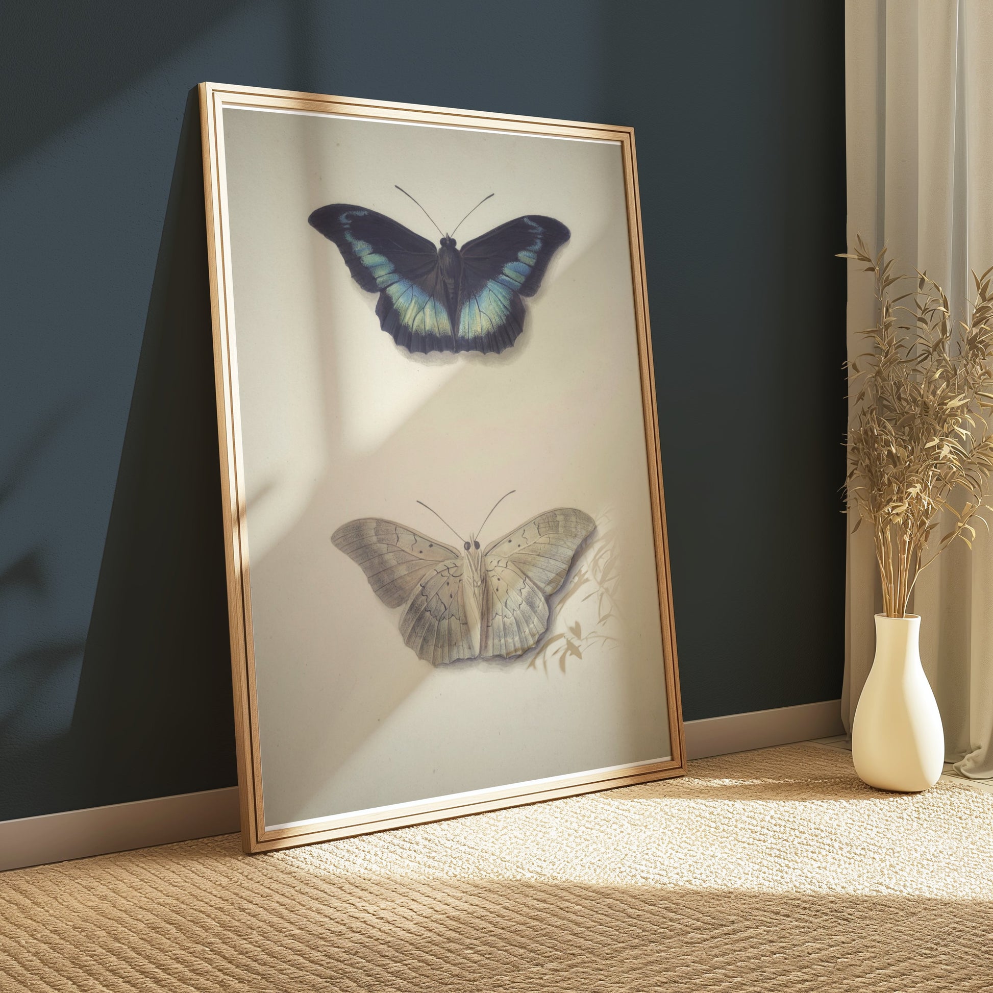 Premium Poster of Beautifully Illustrated Butterfly Art Prints Posters