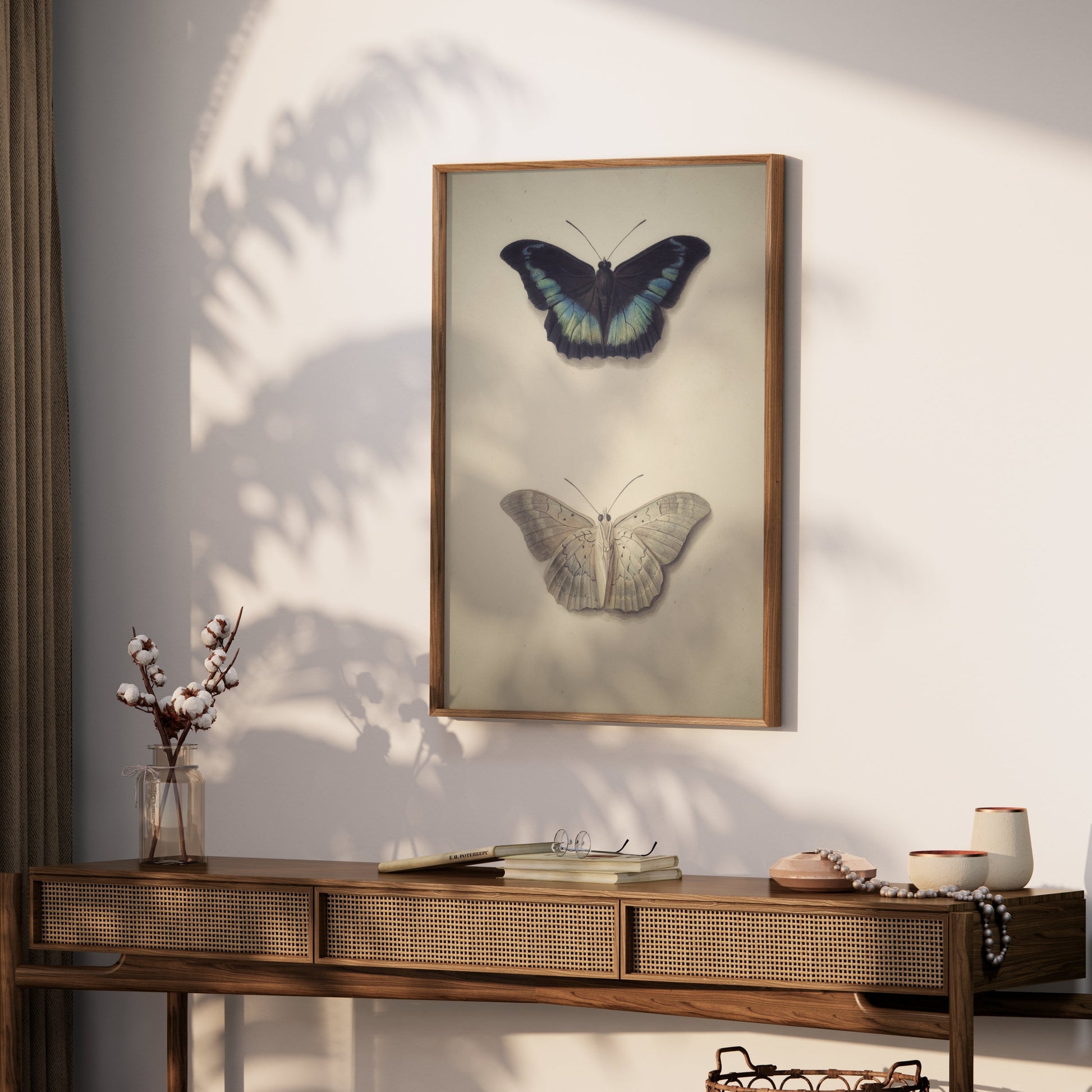 Premium Poster of Beautifully Illustrated Butterfly Art Prints Posters