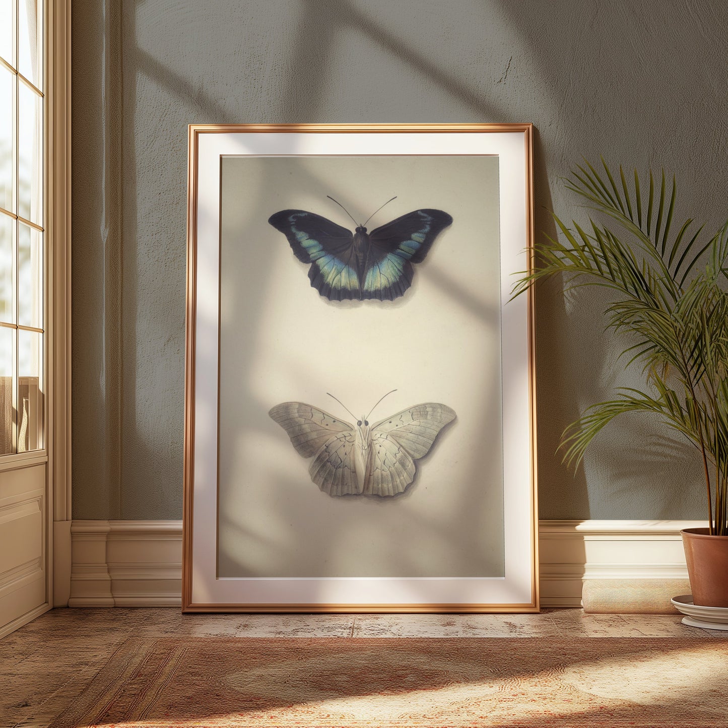 Premium Poster of Beautifully Illustrated Butterfly Art Prints Posters