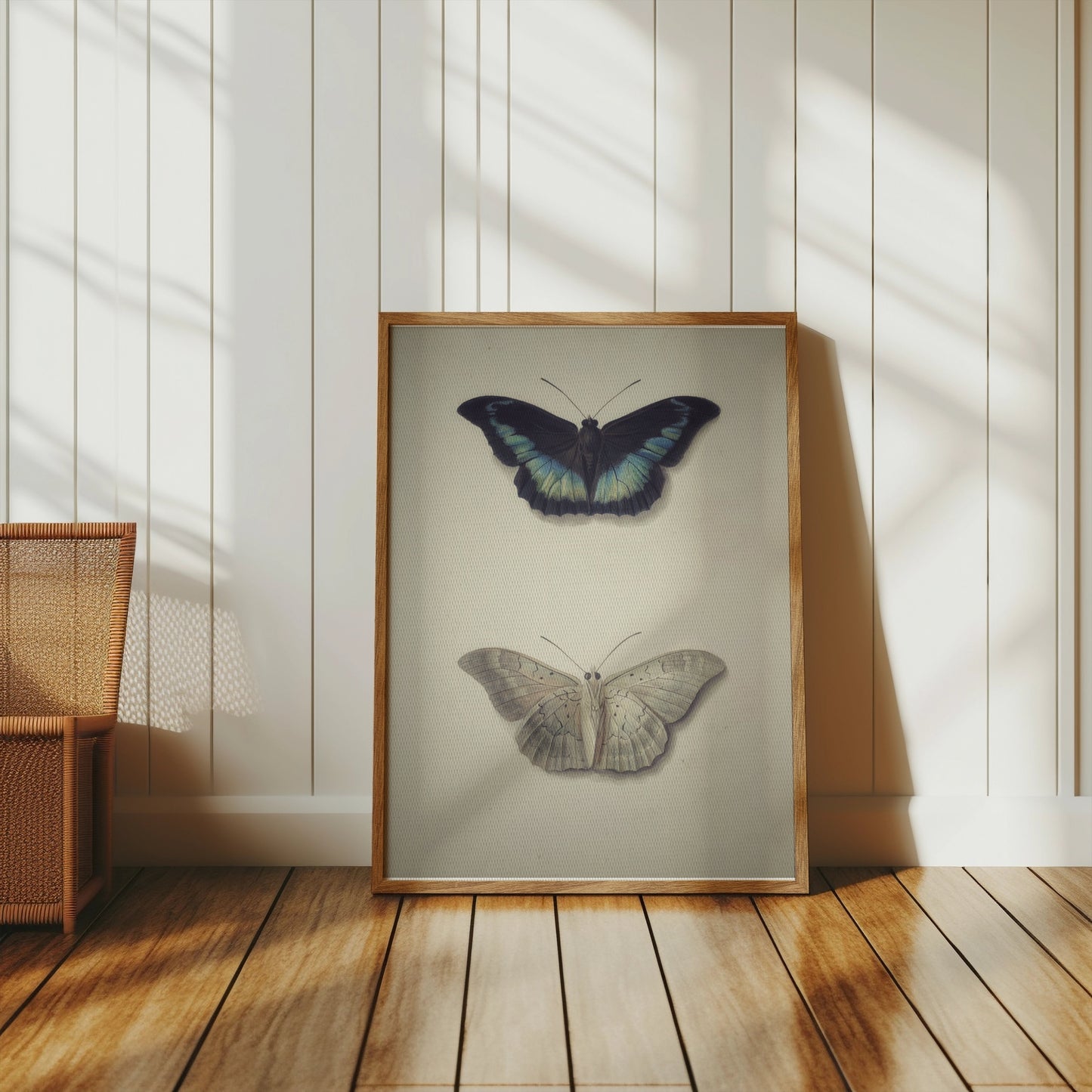 Premium Poster of Beautifully Illustrated Butterfly Art Prints Posters