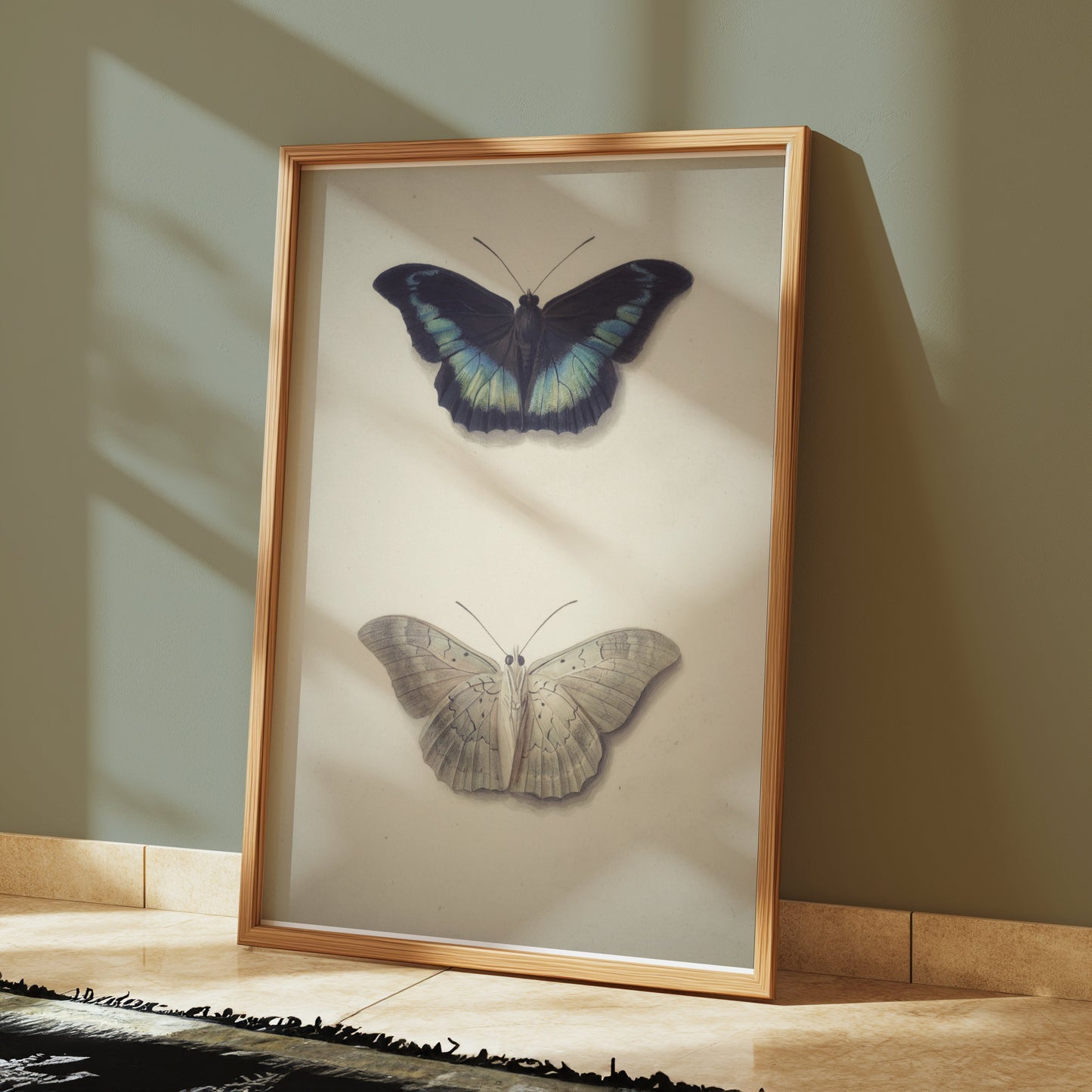 Premium Poster of Beautifully Illustrated Butterfly Art Prints Posters