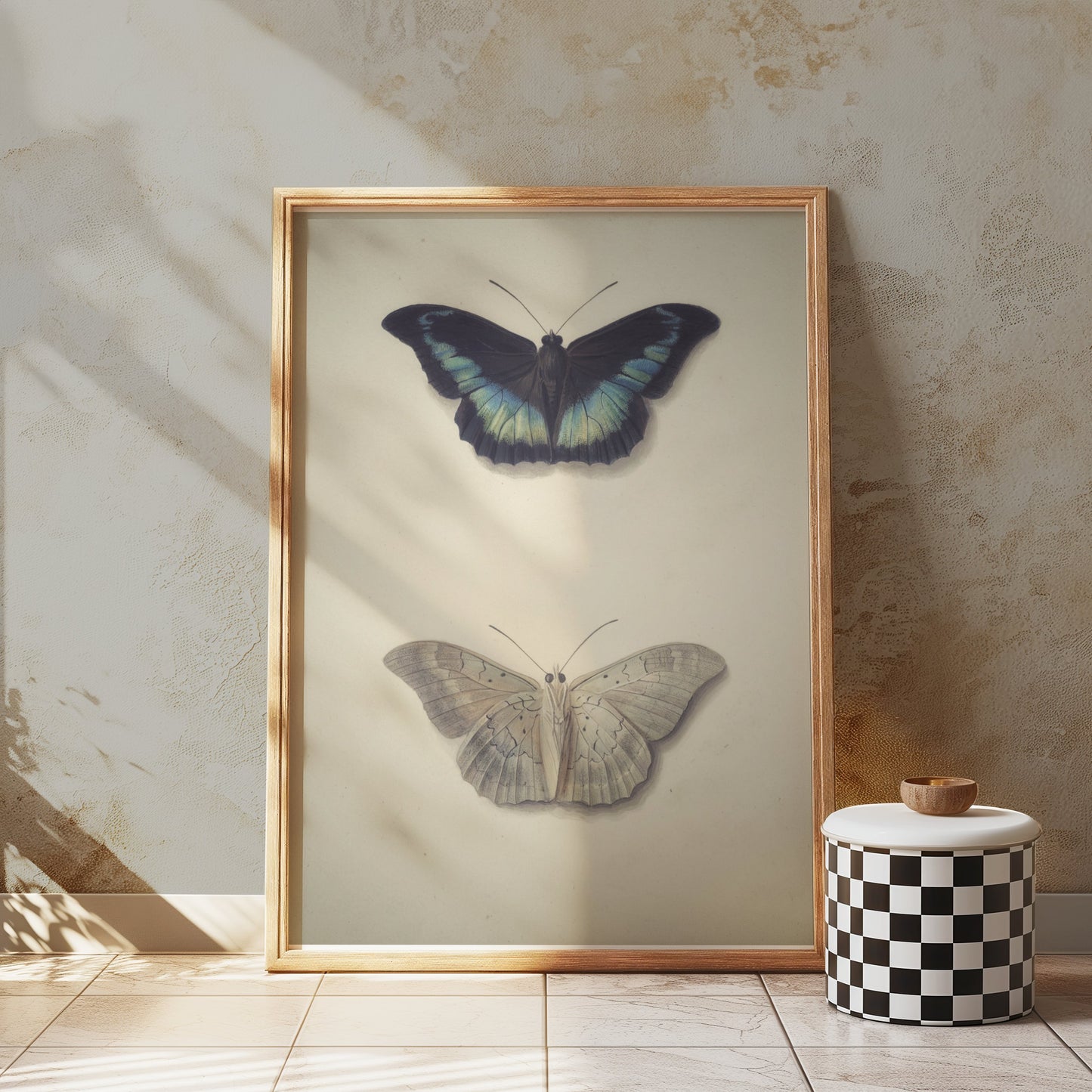 Premium Poster of Beautifully Illustrated Butterfly Art Prints Posters