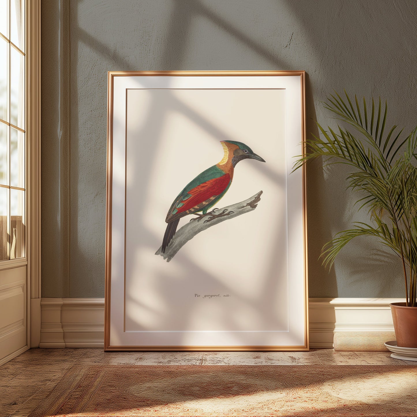 Premium Poster of Beautifully Illustrated Picus Viridis Bird Posters