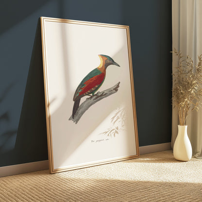 Premium Poster of Beautifully Illustrated Picus Viridis Bird Posters