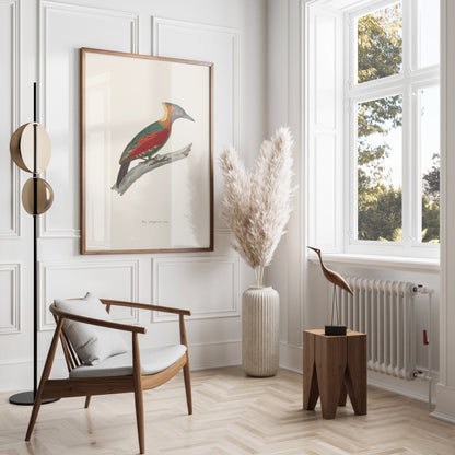 Premium Poster of Beautifully Illustrated Picus Viridis Bird Posters