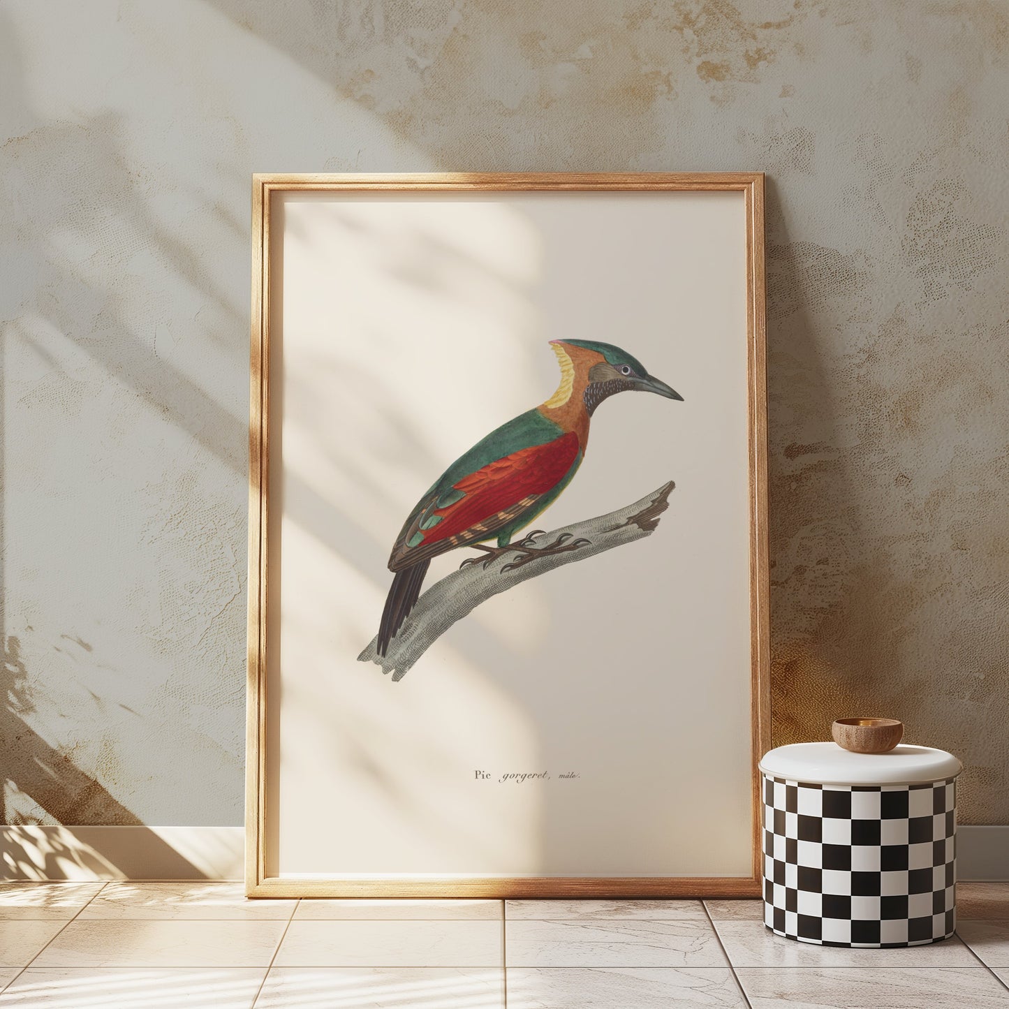 Premium Poster of Beautifully Illustrated Picus Viridis Bird Posters