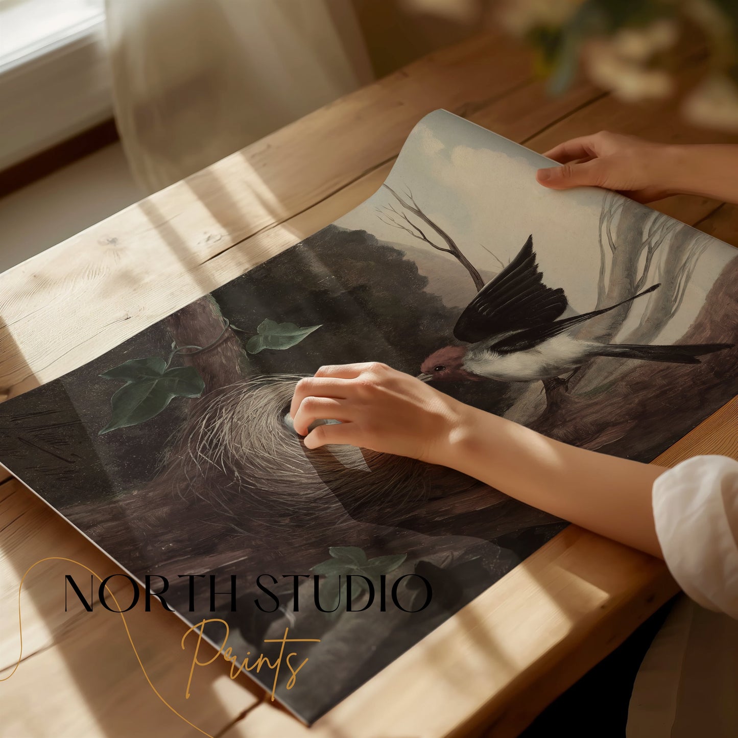 Premium Poster of Bird Nesting in the Wilderness Nature Scene Posters