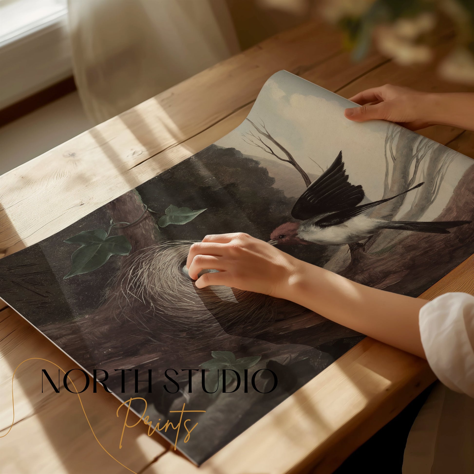 Premium Poster of Bird Nesting in the Wilderness Nature Scene Posters