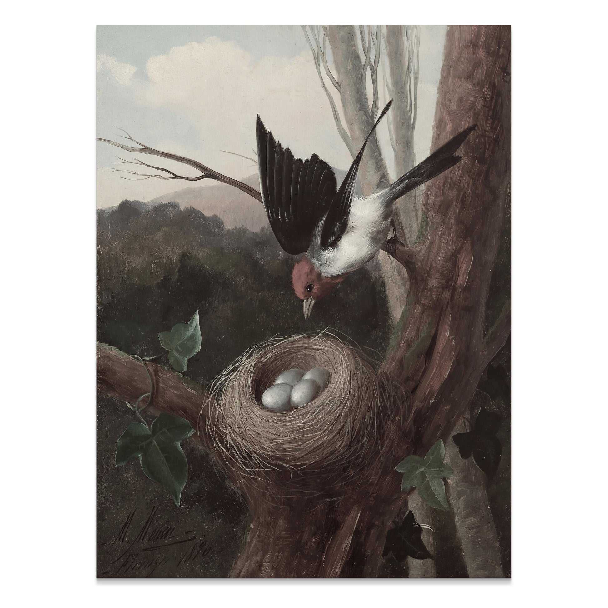 Premium Poster of Bird Nesting in the Wilderness Nature Scene Posters