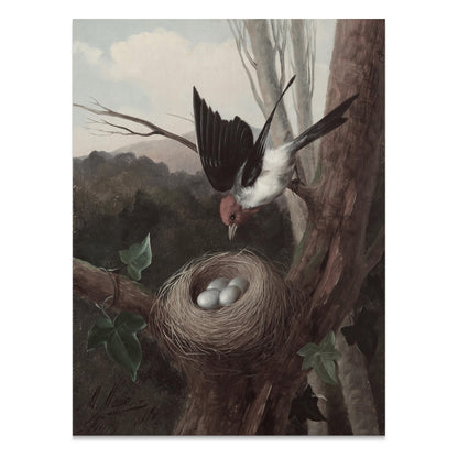 Premium Poster of Bird Nesting in the Wilderness Nature Scene Posters