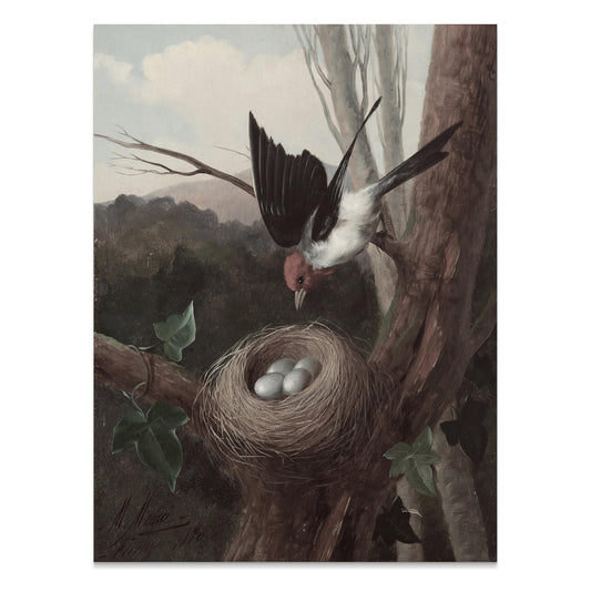 Premium Poster of Bird Nesting in the Wilderness Nature Scene Posters