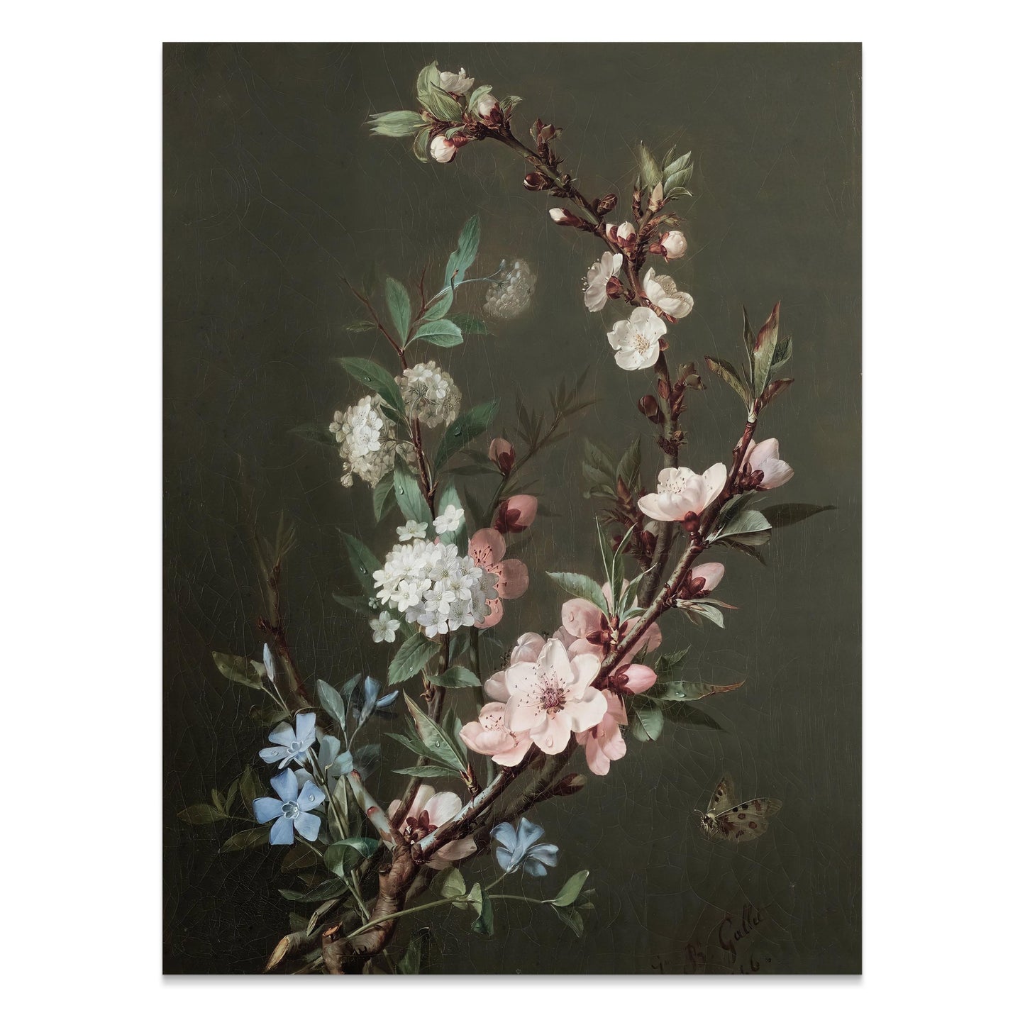 Premium Poster of Blossoming Branches in Nature Art Print Posters