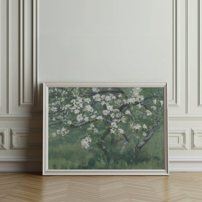 Premium Poster of Blossoming Tree with White Flowers Art Print Posters