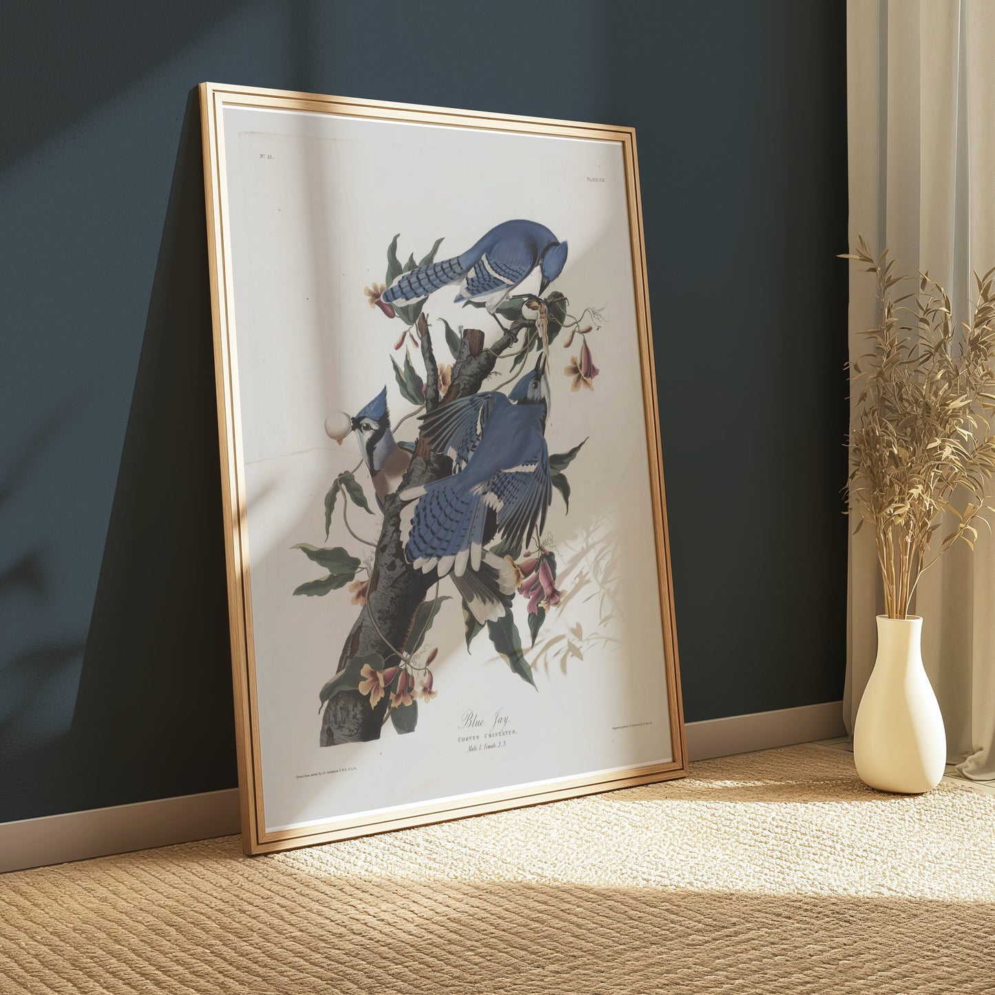 Premium Poster of Blue Jays on Tree Branches Nature Illustration Posters