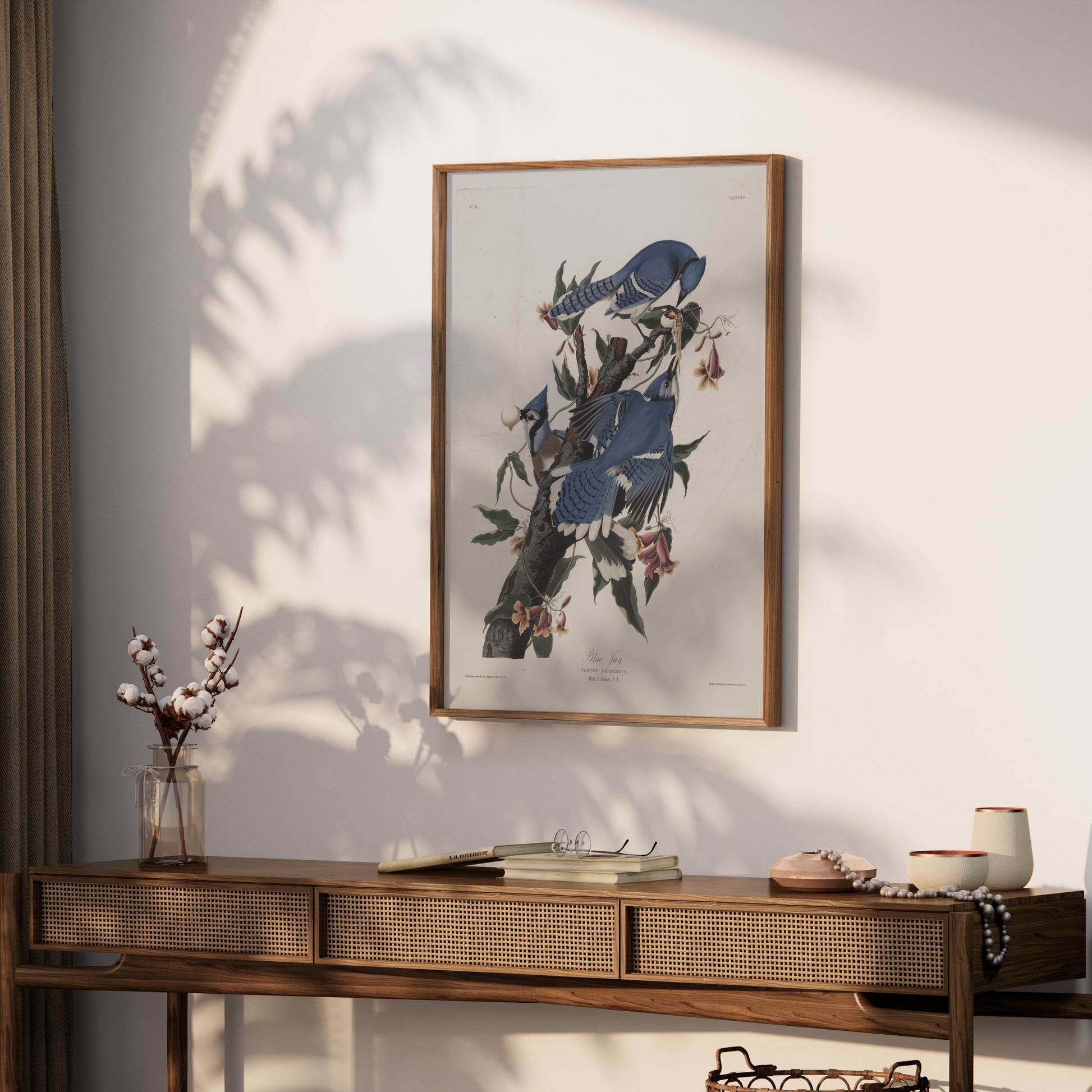 Premium Poster of Blue Jays on Tree Branches Nature Illustration Posters