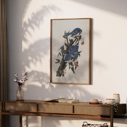 Premium Poster of Blue Jays on Tree Branches Nature Illustration Posters