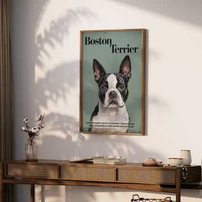 Premium Poster of Boston Terrier Dog Portrait Art Print Posters