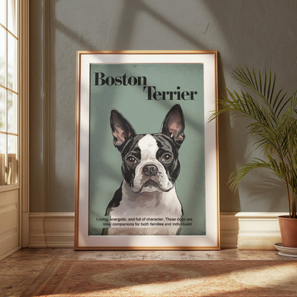 Premium Poster of Boston Terrier Dog Portrait Art Print Posters