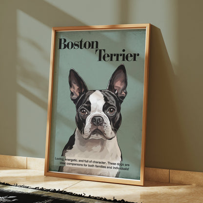 Premium Poster of Boston Terrier Dog Portrait Art Print Posters