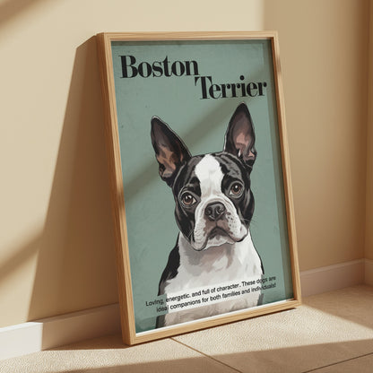 Premium Poster of Boston Terrier Dog Portrait Art Print Posters