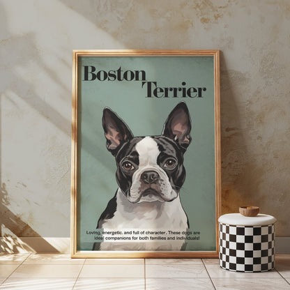 Premium Poster of Boston Terrier Dog Portrait Art Print Posters