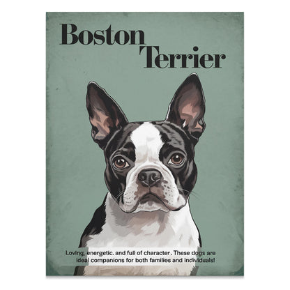 Premium Poster of Boston Terrier Dog Portrait Art Print Posters