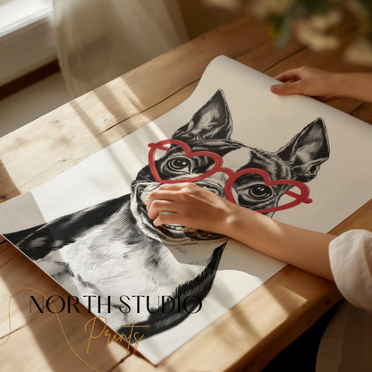 Premium Poster of Boston Terrier with Heart Shaped Glasses Posters