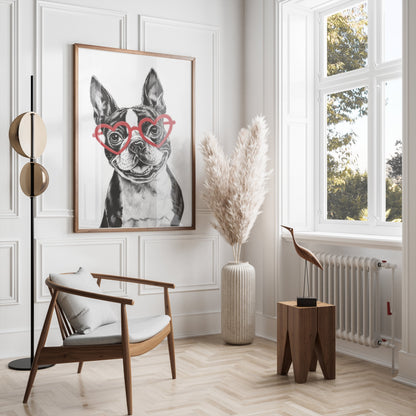 Premium Poster of Boston Terrier with Heart Shaped Glasses Posters