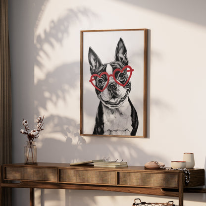 Premium Poster of Boston Terrier with Heart Shaped Glasses Posters